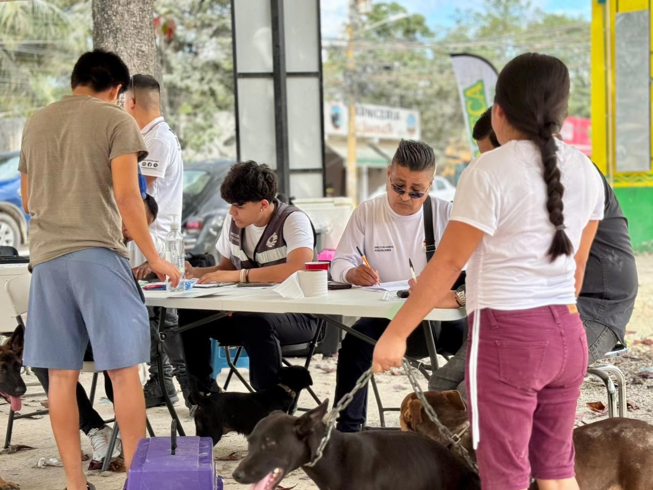 uploads/6/32/01 (2732).Jpeg